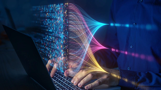 Information Technology & Network Services