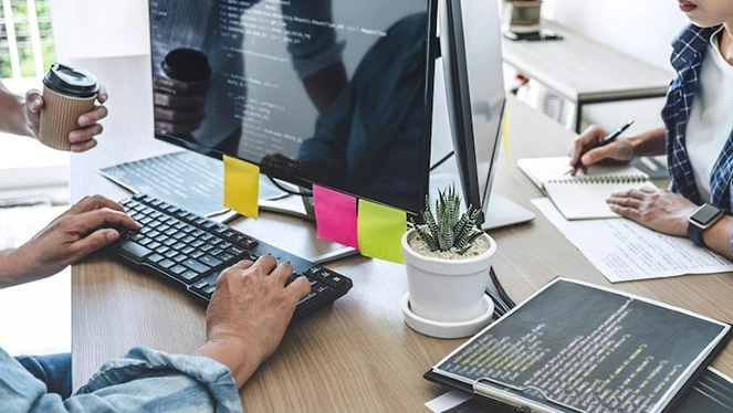 Web Design & Development